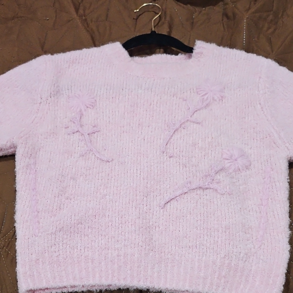 Zara Soft Pink Crew Neck Sweater